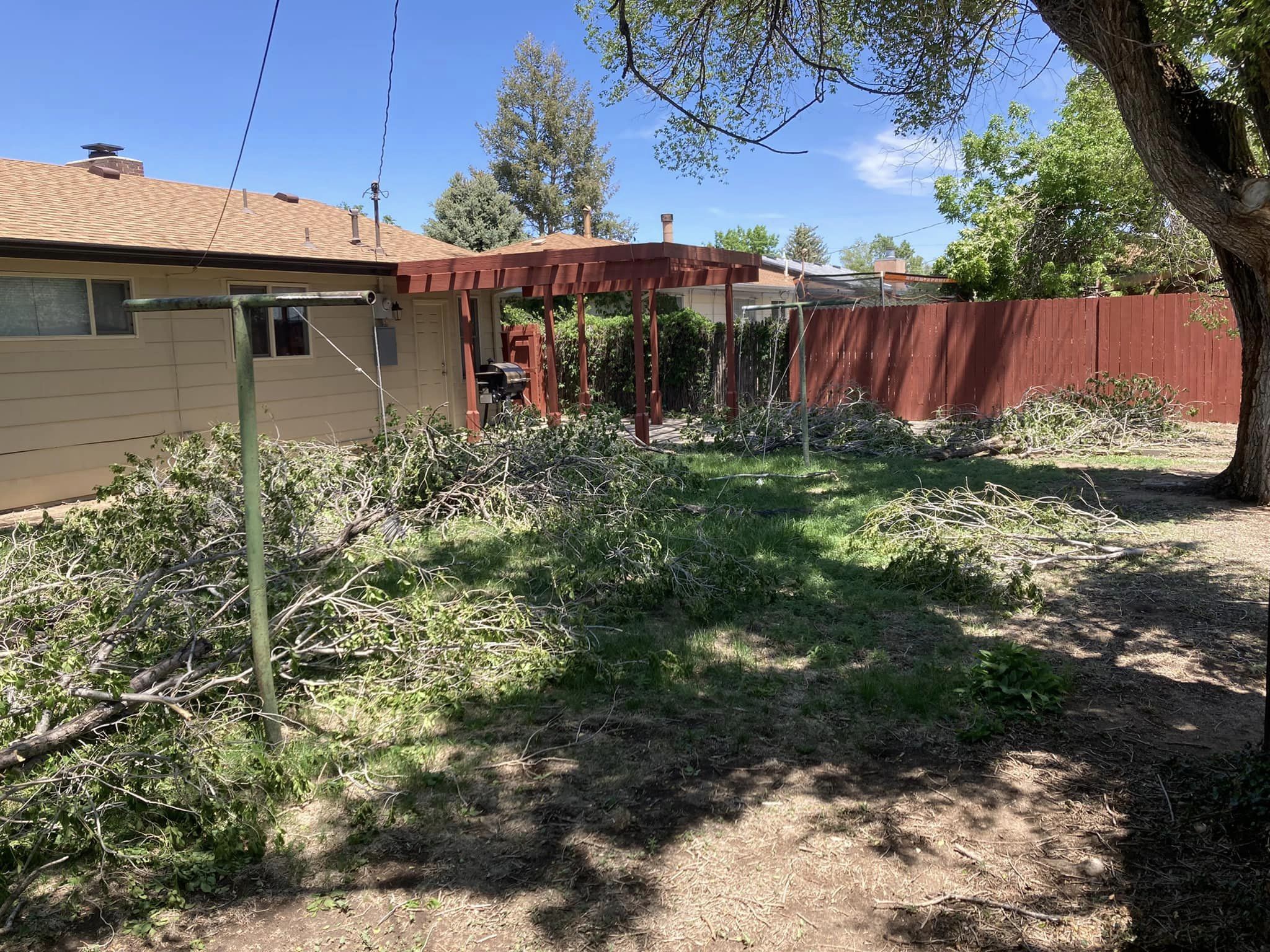 Large pile of cut branches before hauling